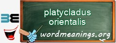 WordMeaning blackboard for platycladus orientalis